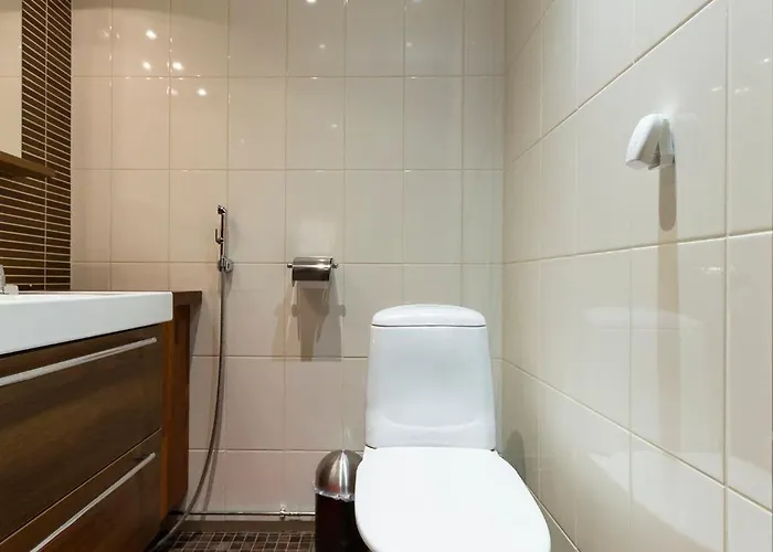 Isokarhu 2 Visit Levi